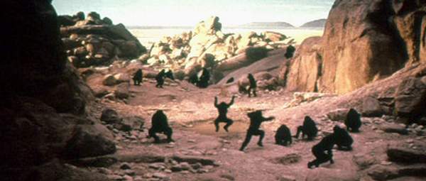 macacos